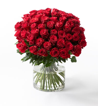 60 røde roser 60 røde roser